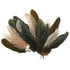Natural Colours Goose Craft Feathers